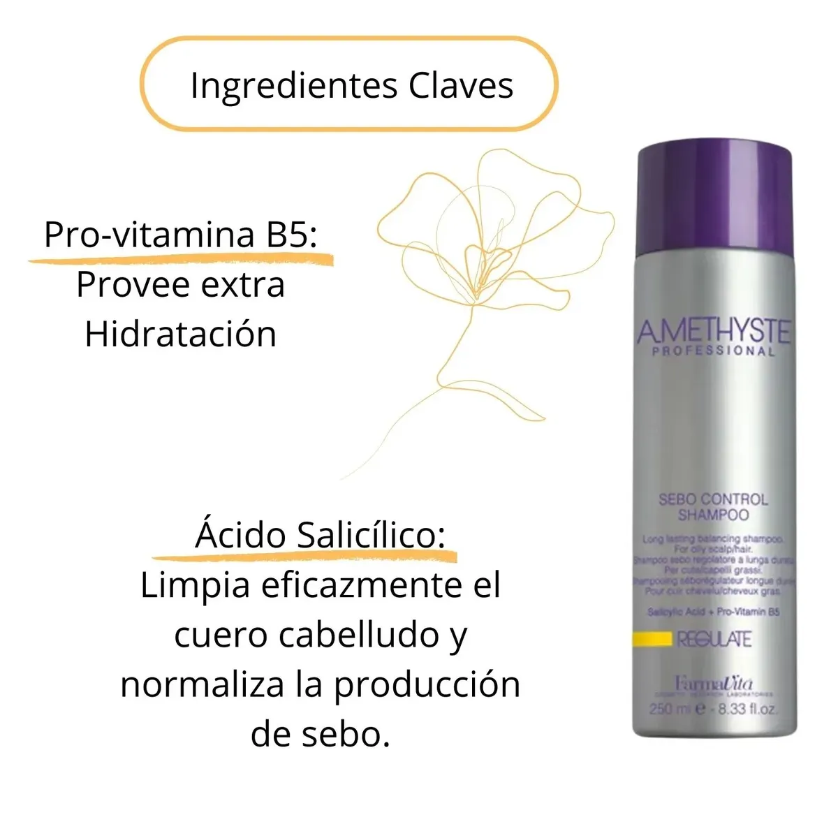 FARMAVITA - Amethyste Regulador Sebo Control Shampoo 250ml - FARMAVITA