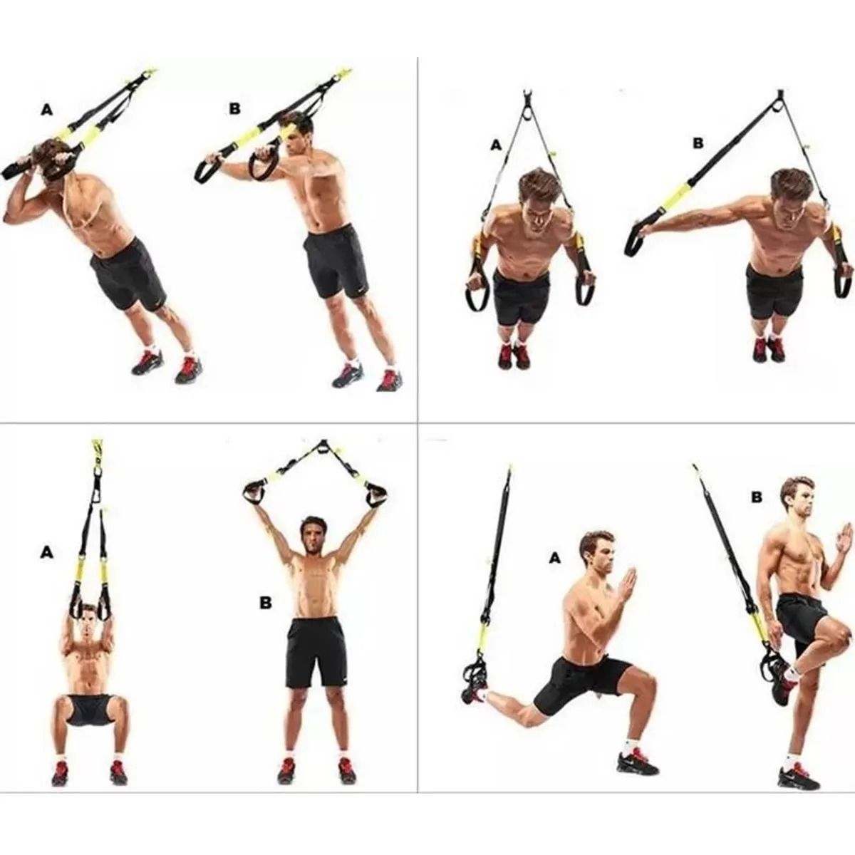 MOVI - Banda de entrenamiento en suspencion TRX
