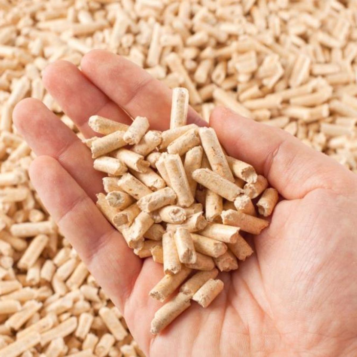 GENERICO - SACO DE PELLET DE MADERA SECA 6MMX15KG 3 VOLCANES