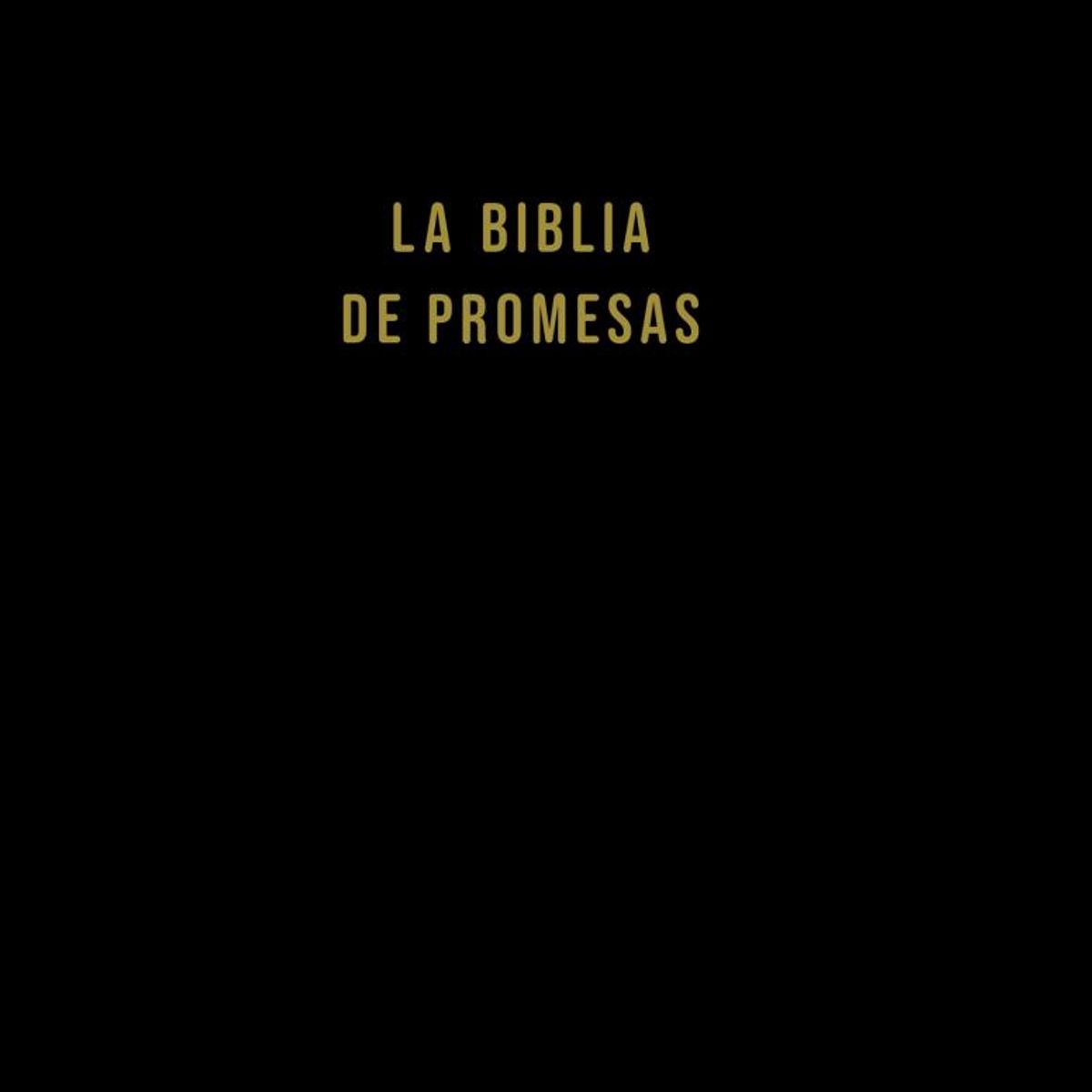 SOCIEDAD BIBLICA CHILENA - Biblia NVI tapa dura 10 puntos