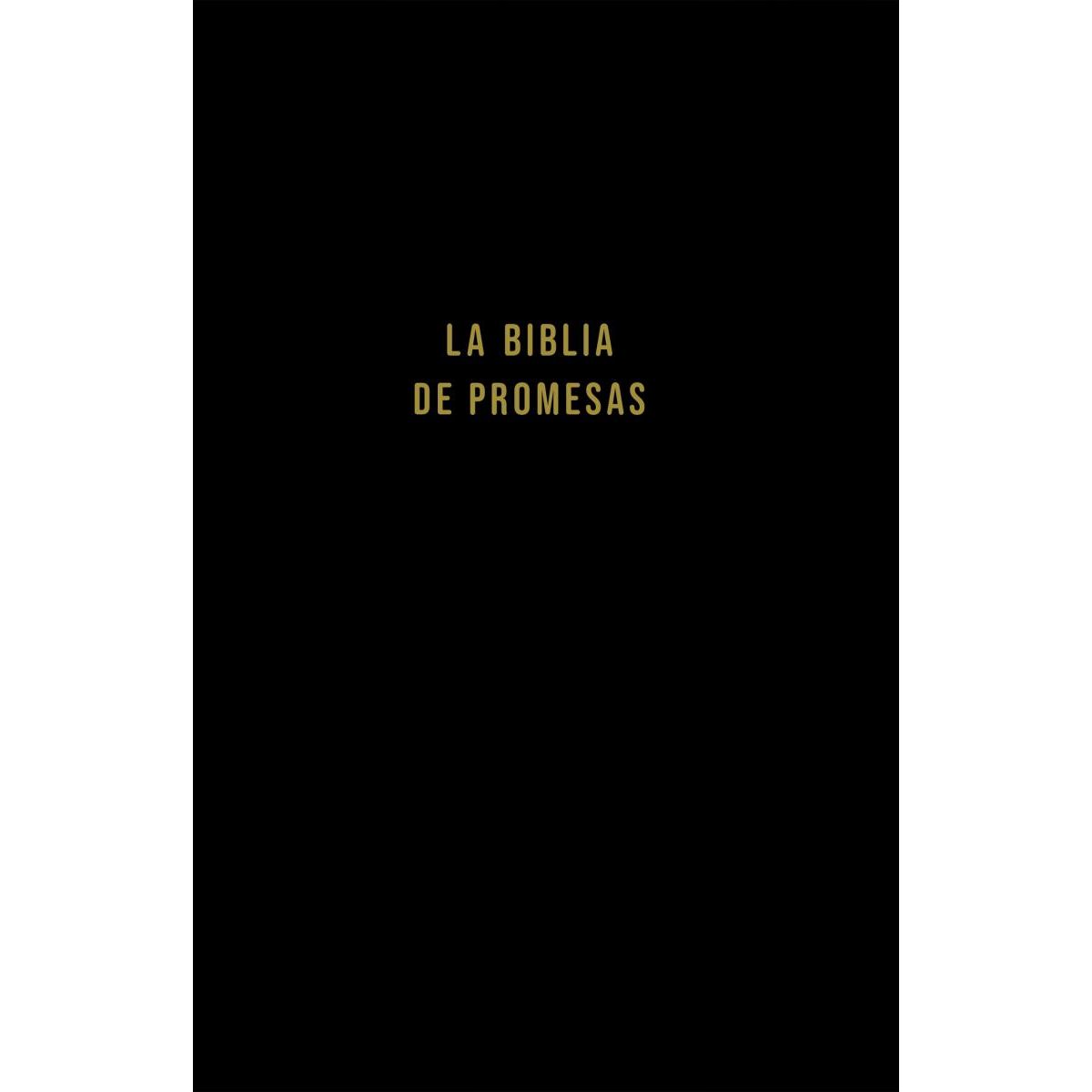SOCIEDAD BIBLICA CHILENA - Biblia NVI tapa dura 10 puntos