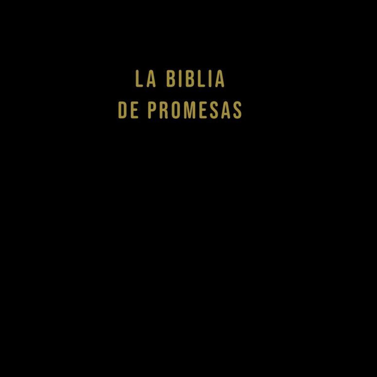 SOCIEDAD BIBLICA CHILENA - Biblia NVI tapa dura 10 puntos