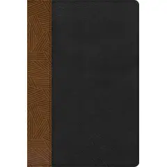SOCIEDAD BIBLICA CHILENA - Biblia de Estudio Arcoris RVR negro