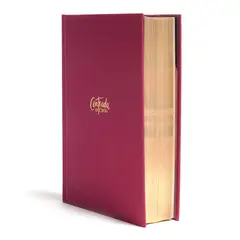 BROADMAN & HOLMAN PUBLISHERS - Biblia devocional centrada en Cristo RVR1960