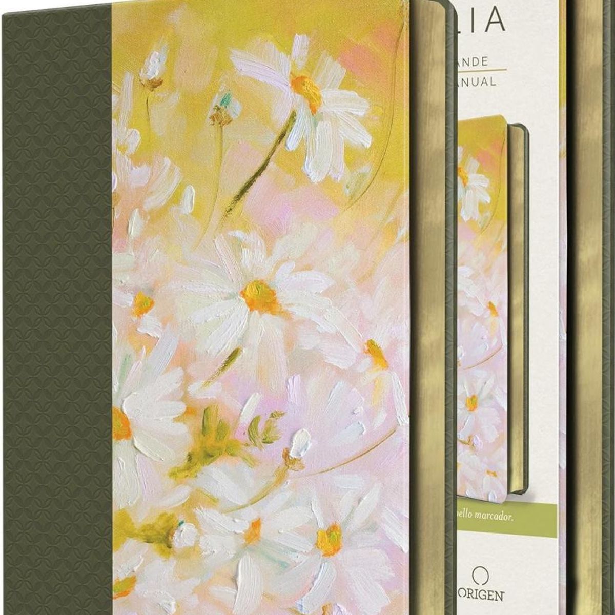 SOCIEDAD BIBLICA CHILENA - Biblia Reina Valera 1960 letra grande 10,5 pt. Piel verde con flores, tamaño mediano