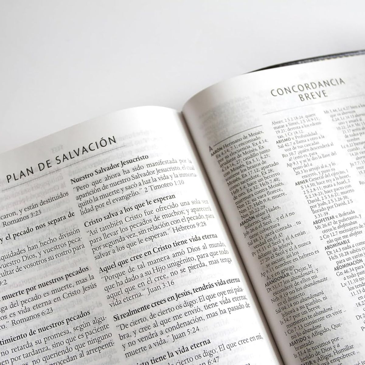 ORIGEN - Biblia RVR 1960 letra grande tamaño manual, simil piel con solapa y imán