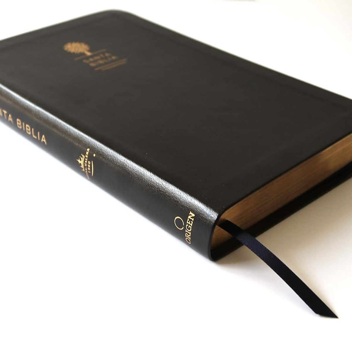 ORIGEN - Biblia Reina Valera 1960 letra grande Símil piel negro, índice