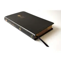 ORIGEN - Biblia Reina Valera 1960 letra grande Símil piel negro, índice
