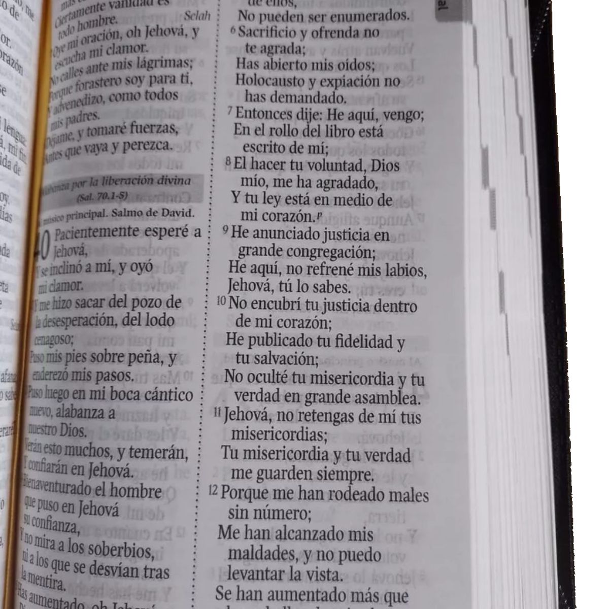 SOCIEDADES BIBLICAS UNIDAS - Biblia Reina Valera 1960 letra grande con cierre rosa canto pintado