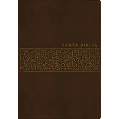 TYNDALE HOUSE PUBLISHERS - Santa Biblia NTV, Edición manual letra 12 puntos