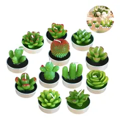 GENERICO - Pack 12 velas cactus decorativas