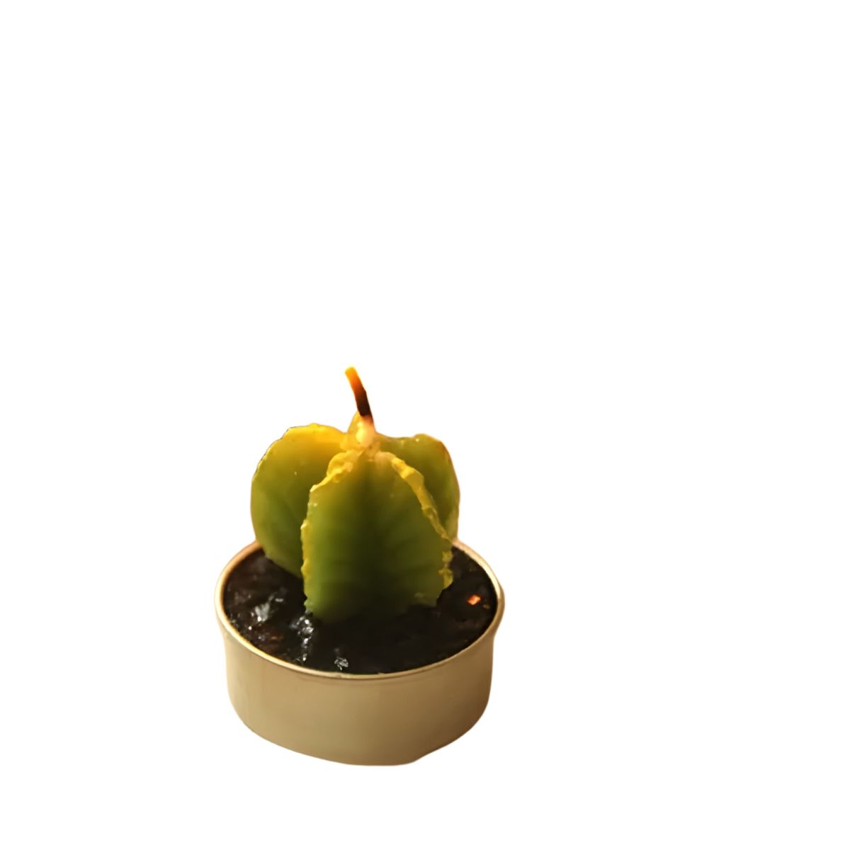 GENERICO - Pack 12 velas cactus decorativas