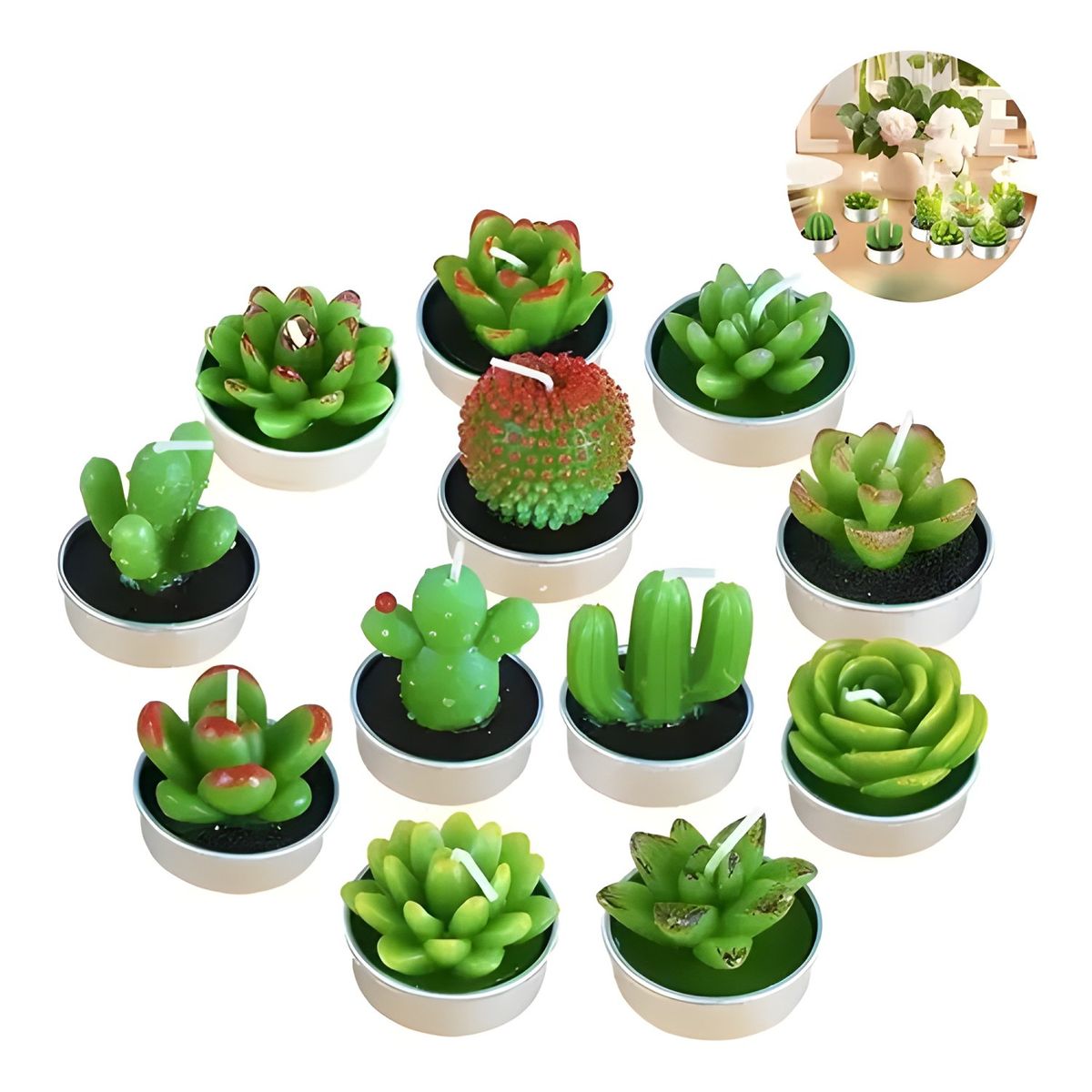 GENERICO - Pack 12 velas cactus decorativas verde