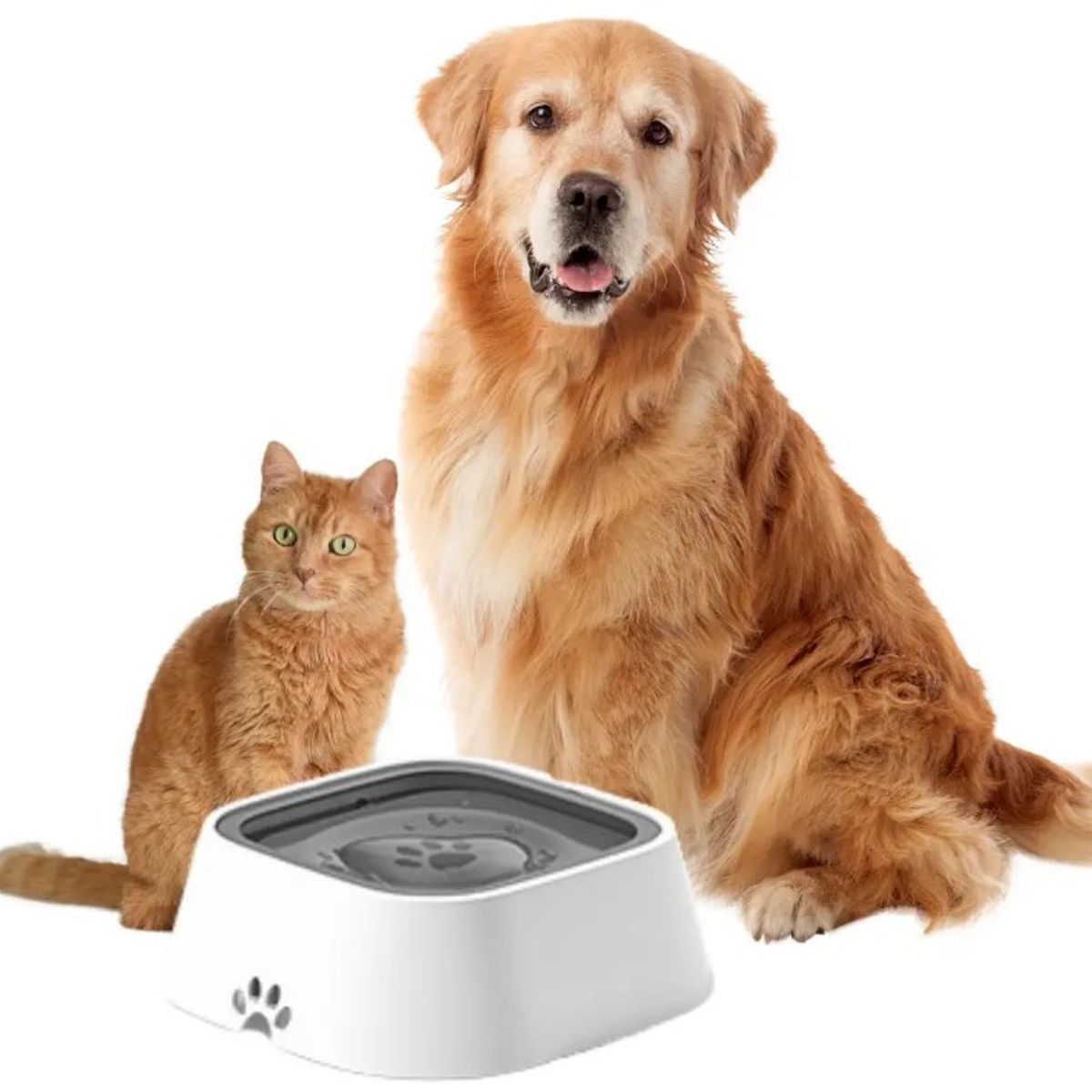 OEM - Comedero Antiderrame para Mascotas Bowl No Splash Perros y Gatos