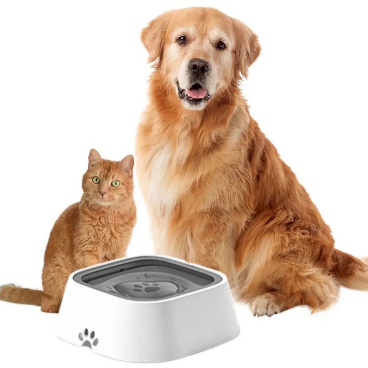 OEM - Comedero Antiderrame para Mascotas Bowl No Splash Perros y Gatos