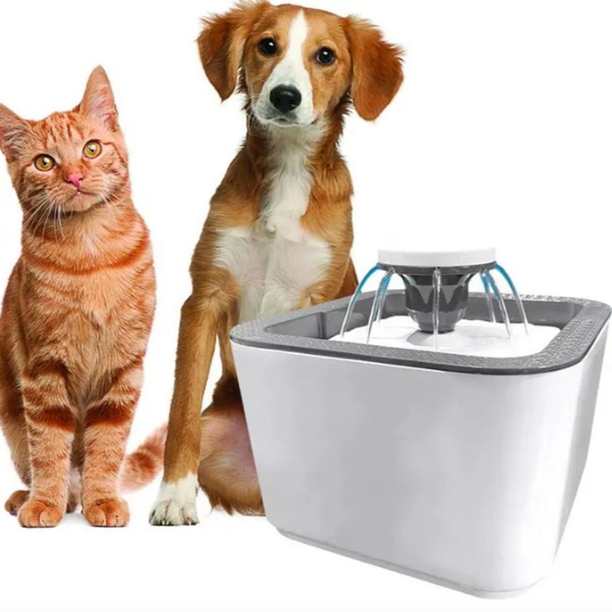 OEM - Fuente Bebedero para Gatos y Perros Bowl de Agua para Mascotas