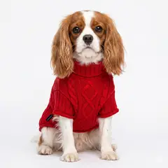 GENERICO - CHALECO ROJO PERROS Y GATOS- XL