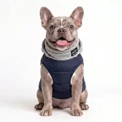 GENERICO - PARKA IMPERMEABLE NEGRA PARA RAZAS PEQUEÑAS - XXL