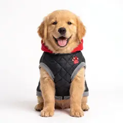 GENERICO - PARKA IMPERMEABLE ROJA Y NEGRA RAZAS GRANDES - XL