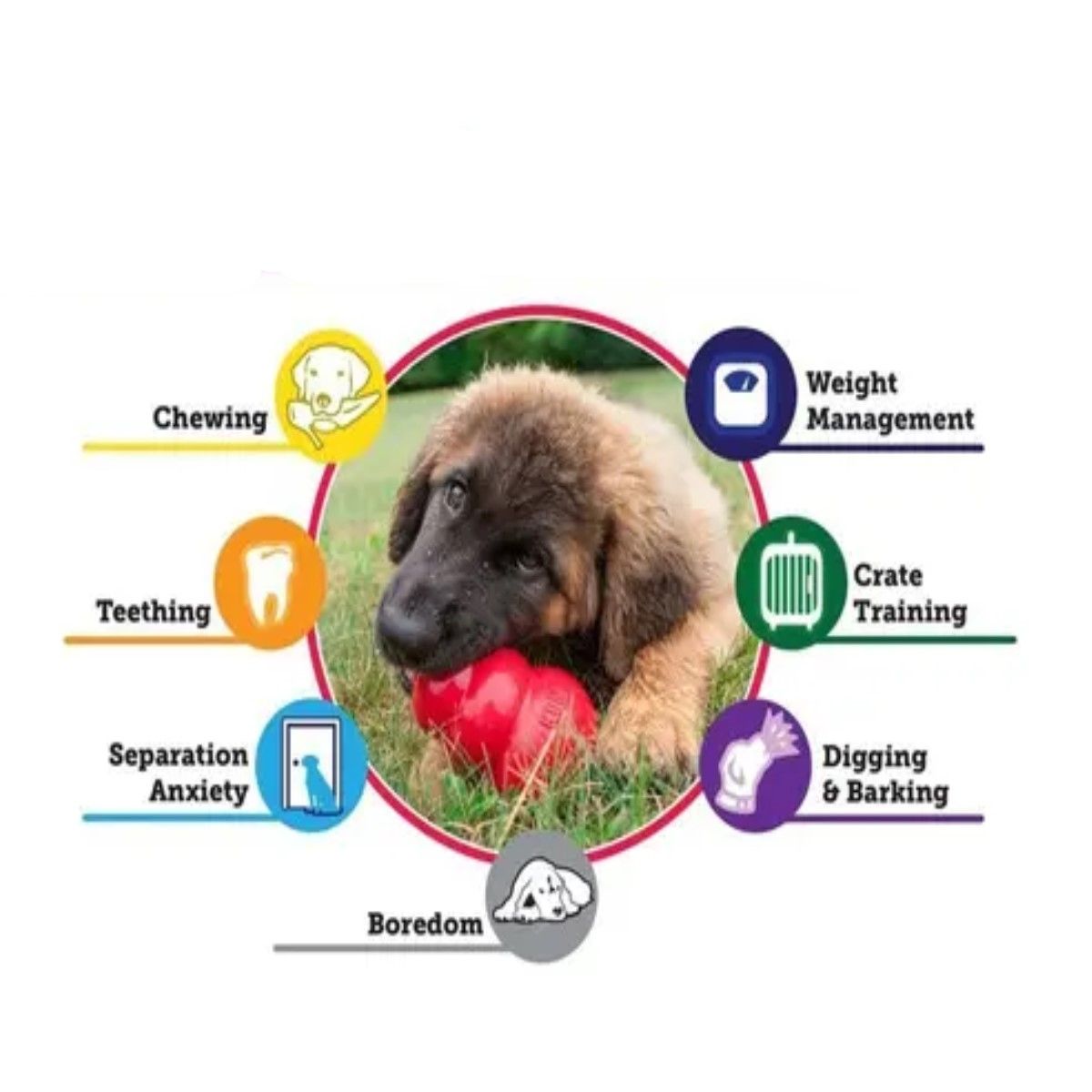 GENERICO - Pelota Grande Reforzada Para Perro Kong Verde Aqua 8cm BELUG