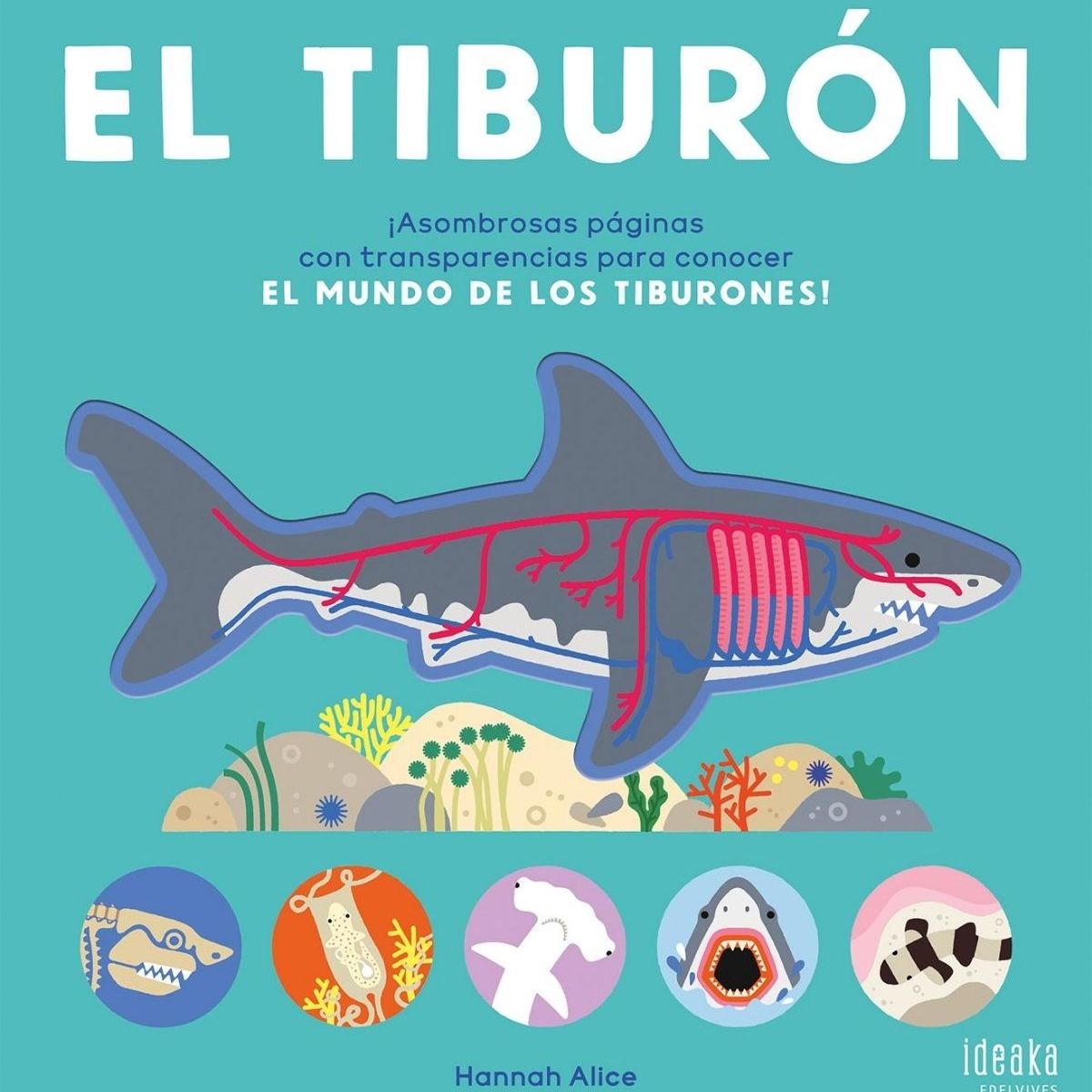 EDELVIVES - TIBURON, EL