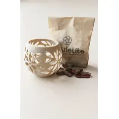 GENERICO - Macetero para orquideas miniatura linea FLO beige + corteza