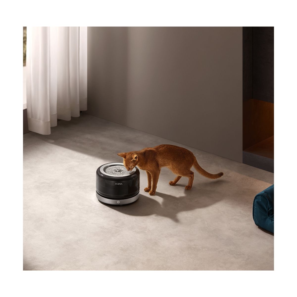 MOVA - Bebedero Automatico Para Mascotas MOVA WF20 Pro