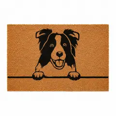 KOKOMAT - Choapino Border Collie 45x75cm