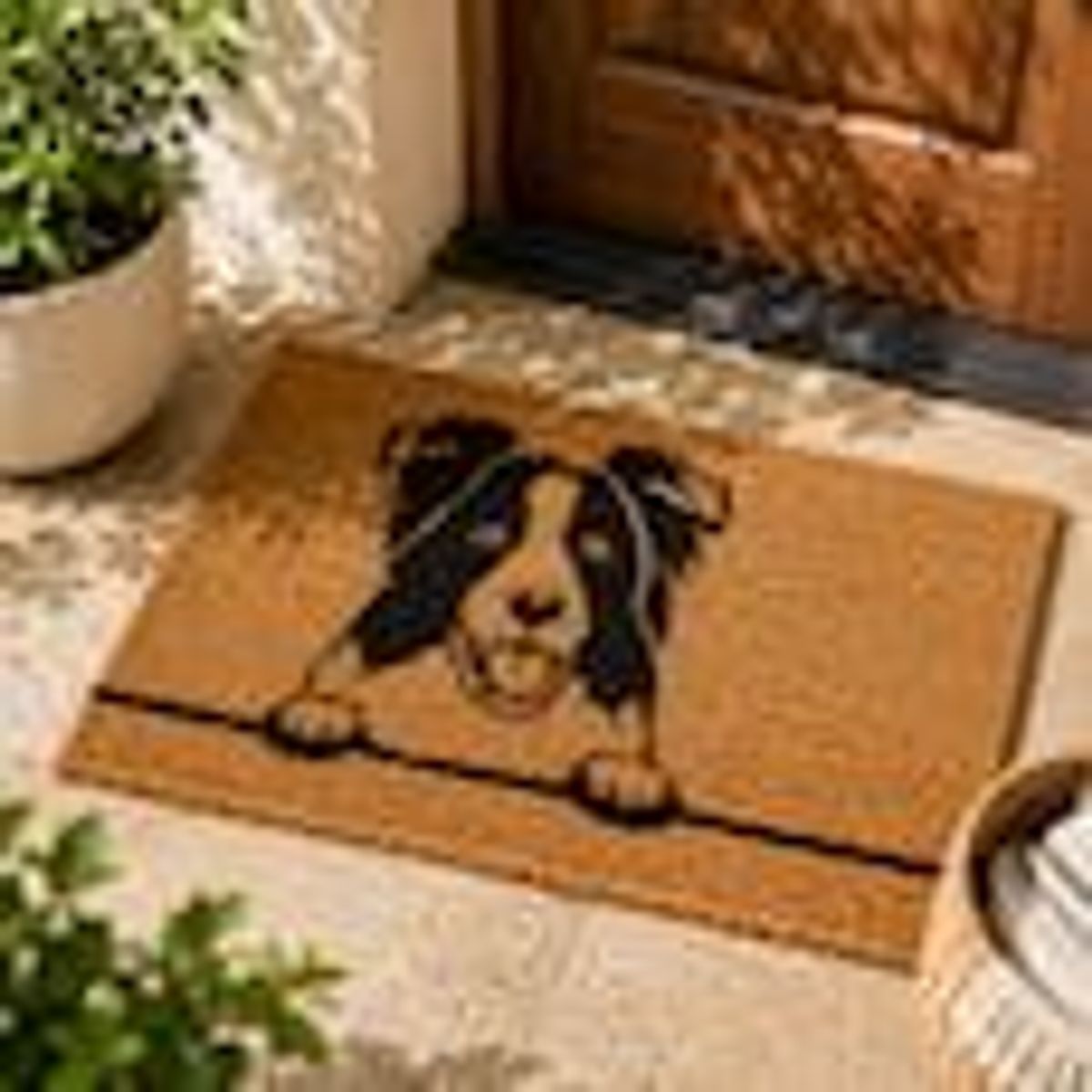 KOKOMAT - Choapino Border Collie 45x75cm