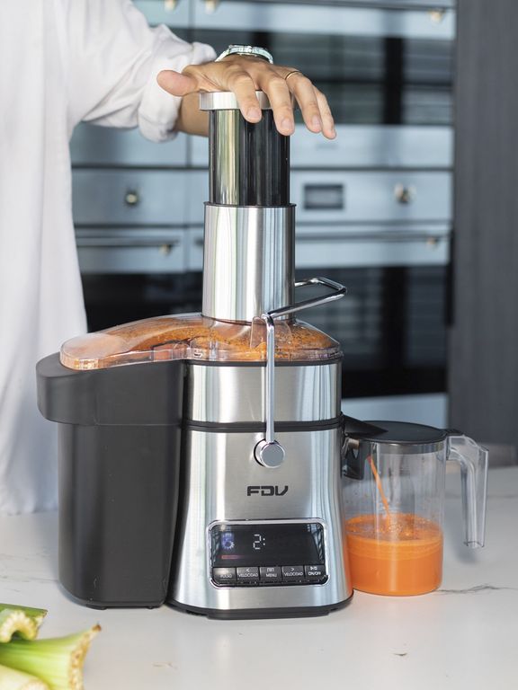FDV Extractor de Jugos 5 velocidades Power Juicer