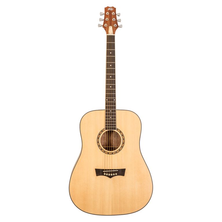 GUITARRA ACUSTICA DW1