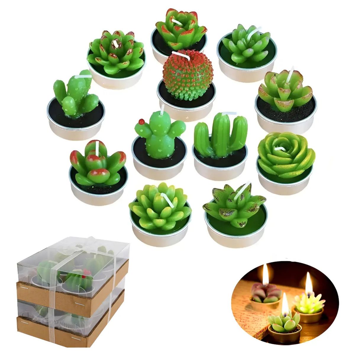 GENERICO - Juego De 12 Velas Cactus Suculentas Para Regalos De Navidad