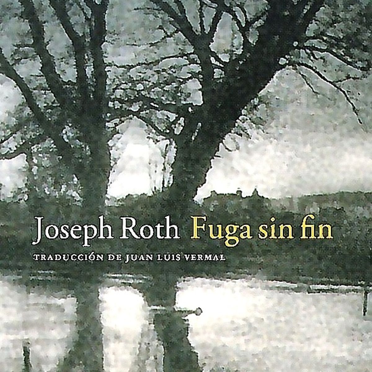 GENERICO - Libro Fuga Sin Fin - Joseph Roth