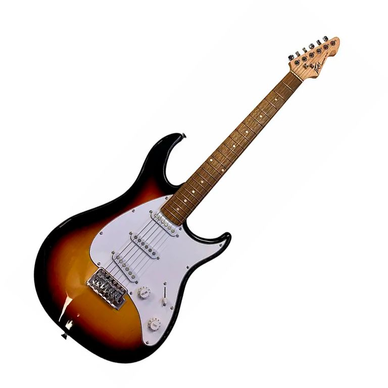 GUITARRA ELECTRICA RAPTOR PLUS SNB SSS