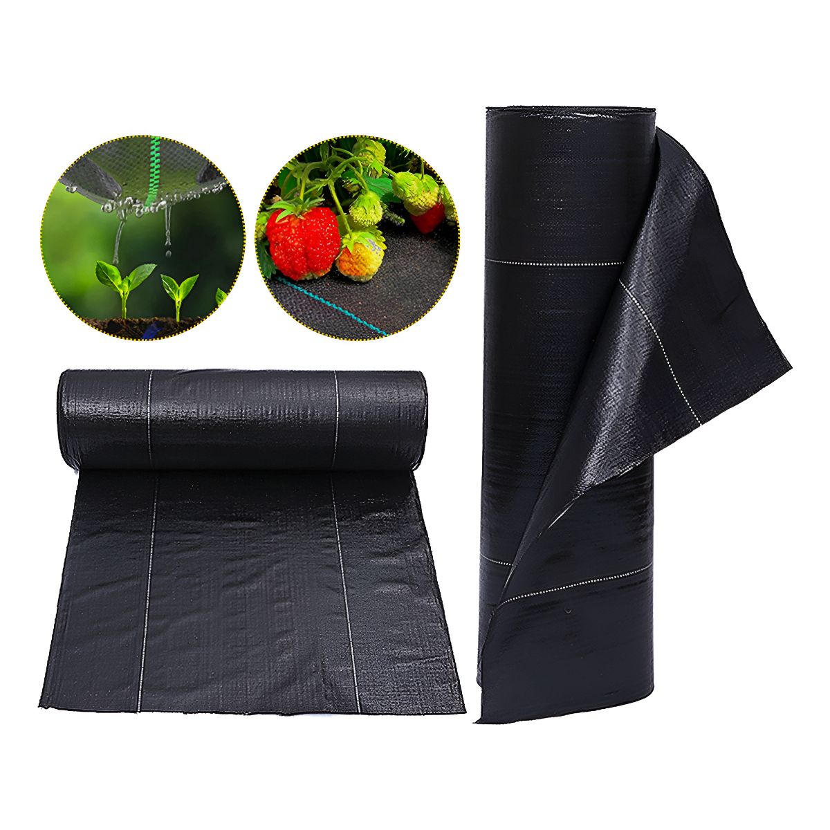 VIDA BUENAS - Tela Anti Maleza Anti Hierba Ground Cover 2m Anchox100m Larg