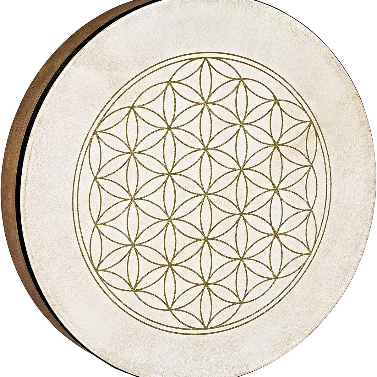 MEINL - Tambor De Mano 16  Hd16Wb-Fol Meinl Sonic Energy