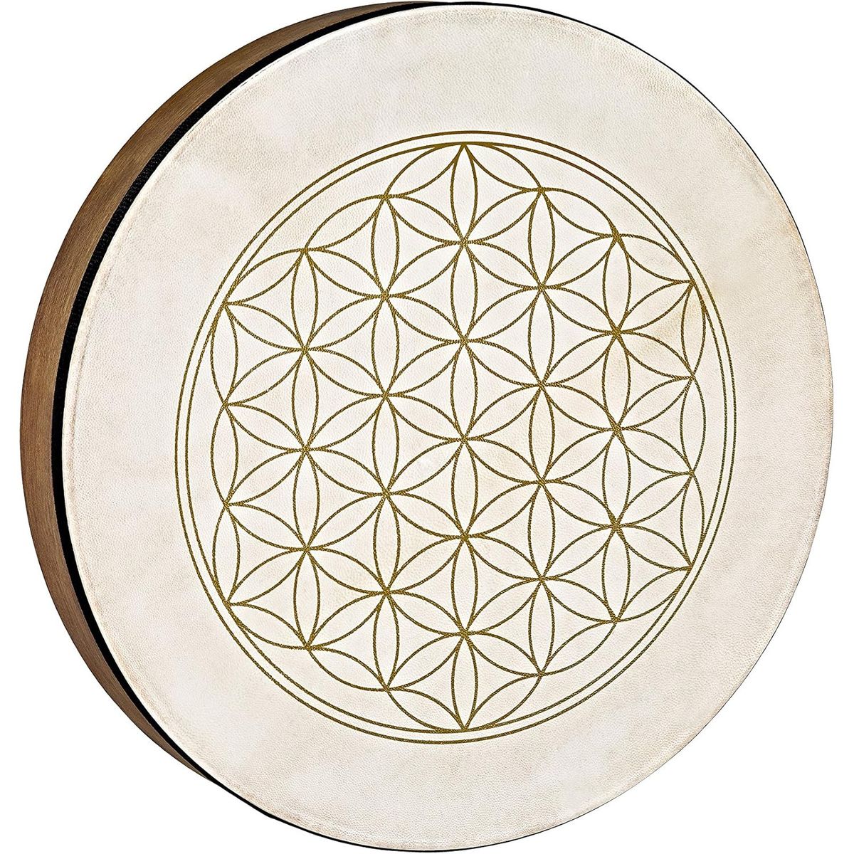 MEINL - Tambor De Mano 16  Hd16Wb-Fol Meinl Sonic Energy
