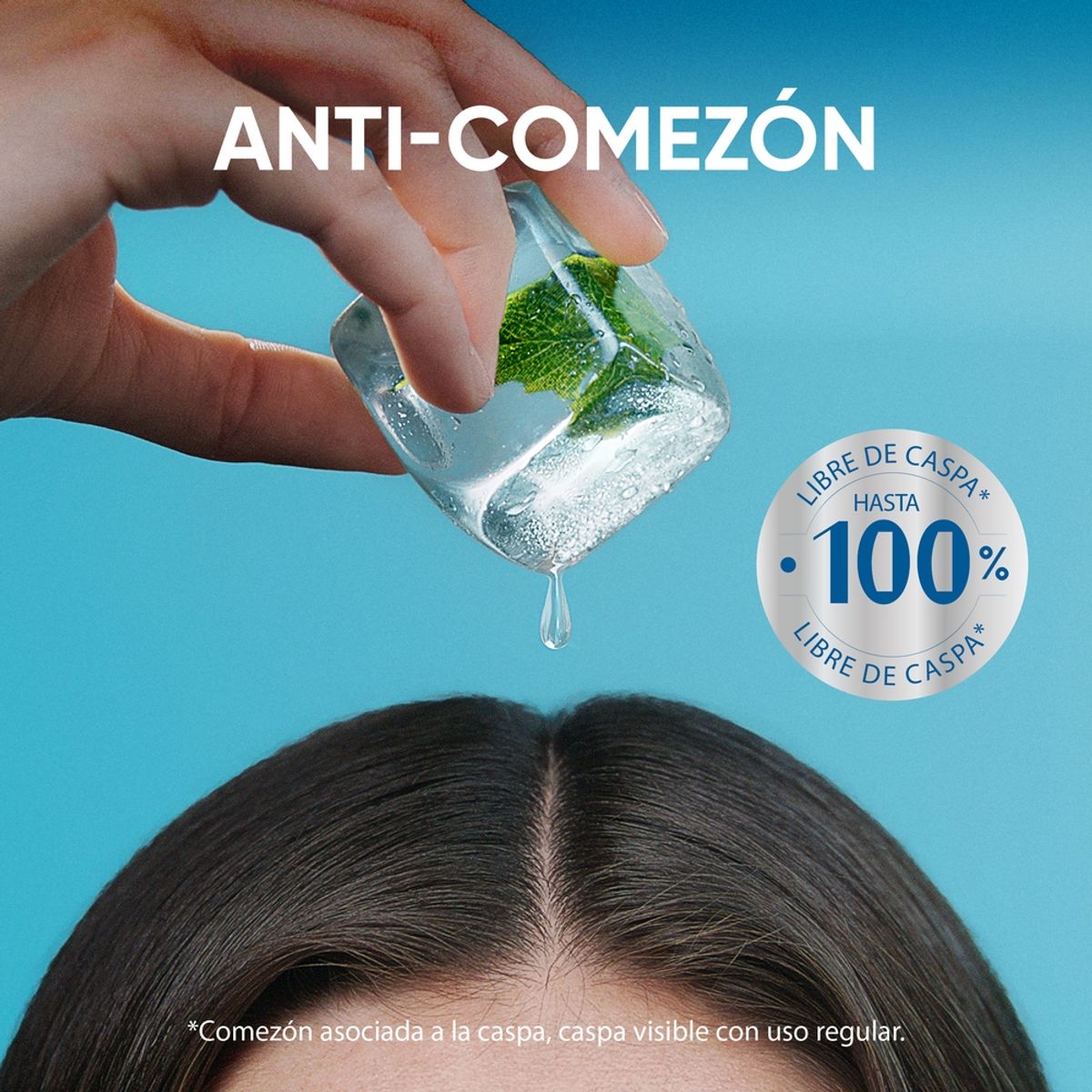 HEAD AND SHOULDERS - Shampoo Head & Shoulders Anti-Comezón 375 ml