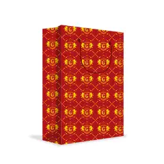 VILLAGE - BOLSA REGALO HARRY POTTER S