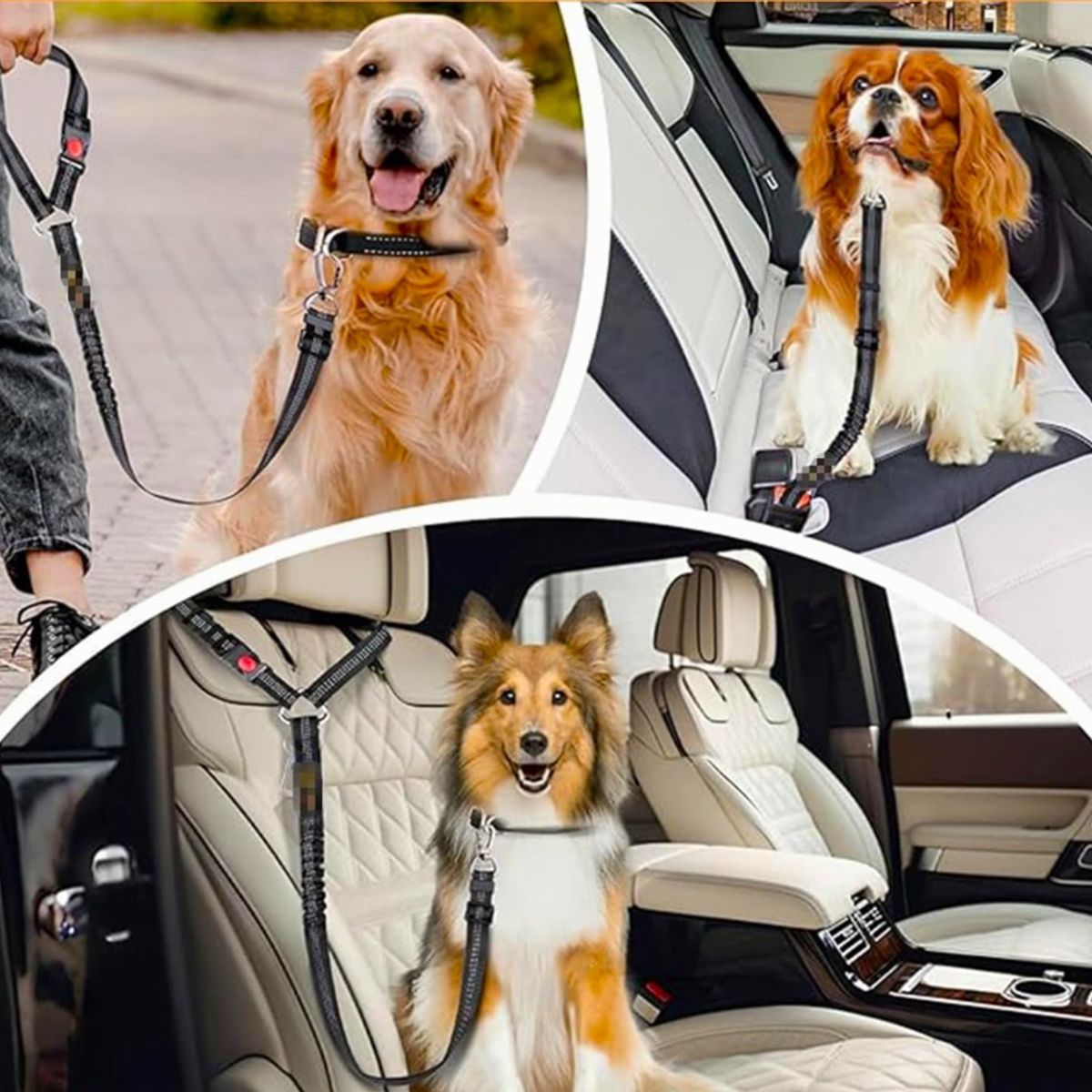 KIDSCOOL - Cinturón De Seguridad Para Perro Multi-Tamaño Elástico Reflectante 4 en 1