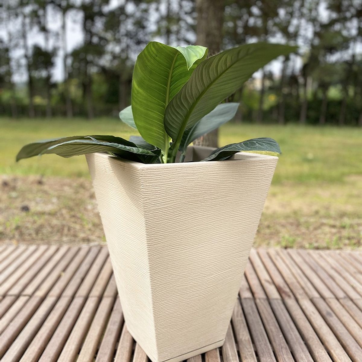 FLORIDIS - MACETERO FLORIDIS BEIGE ZURIQUE 55CM ALTO CON PLATO