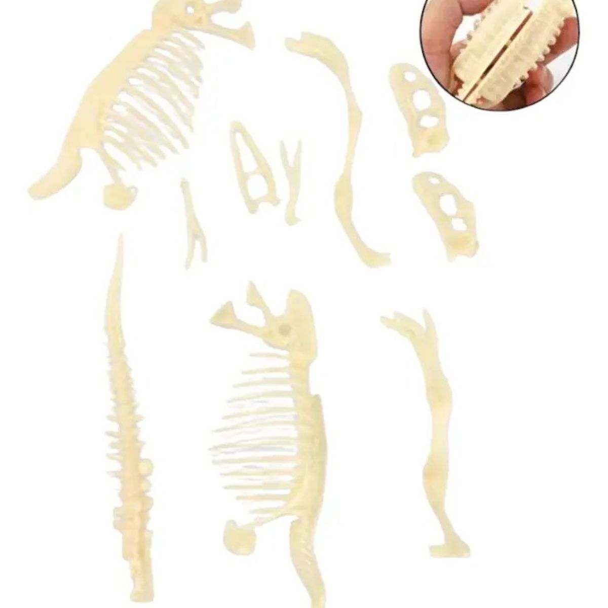 GENERICO - Masas Y Plastilinas Dinosaurio Excavación Moldeable