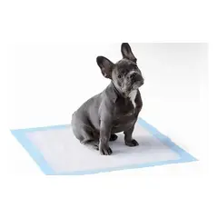 GENERICO - 50 Pañales Tipo Sabanillas Mascotas Perros Y Gato 45x60 Cms