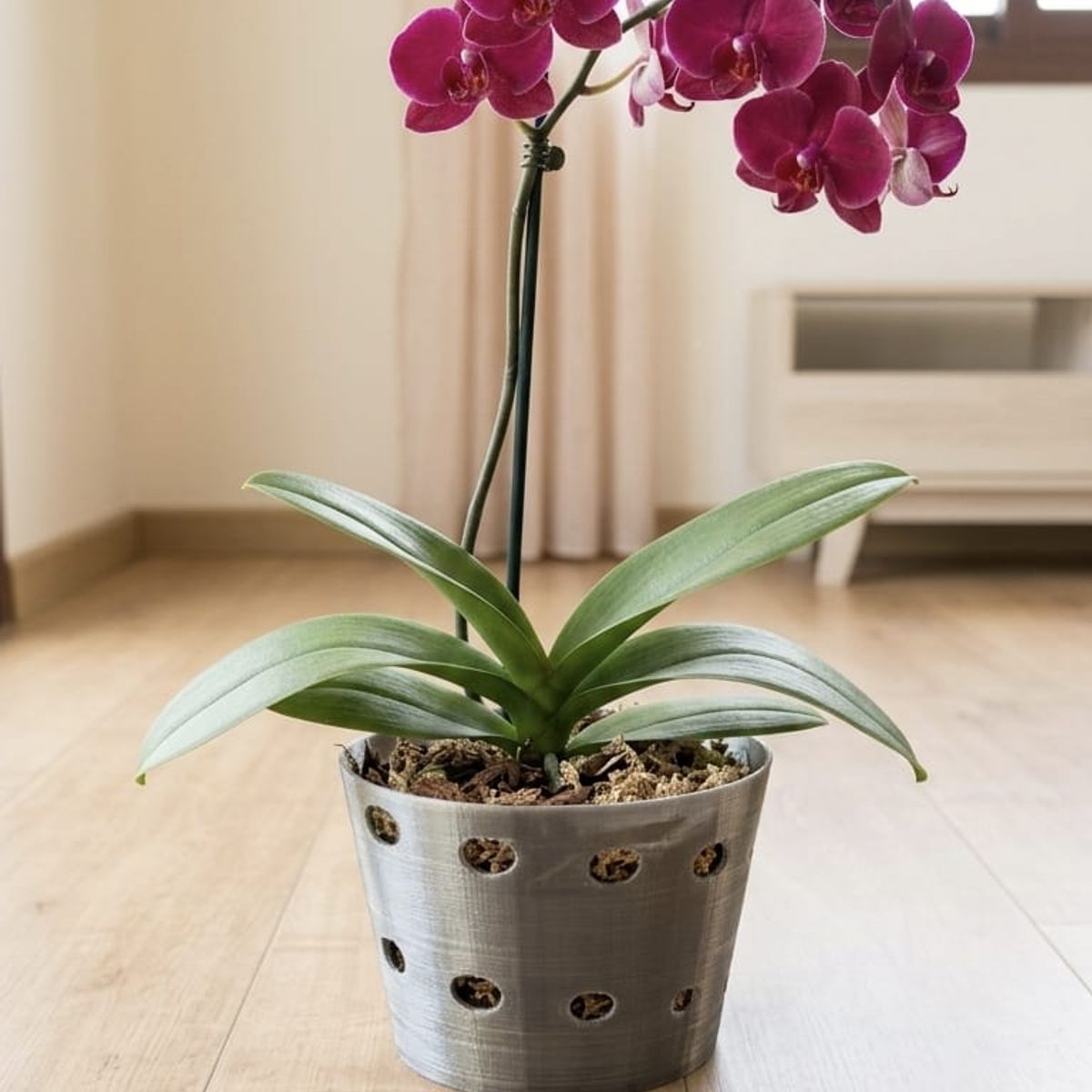 GENERICO - Macetero para orquídeas GRANDE Titanium  Linea  LUX