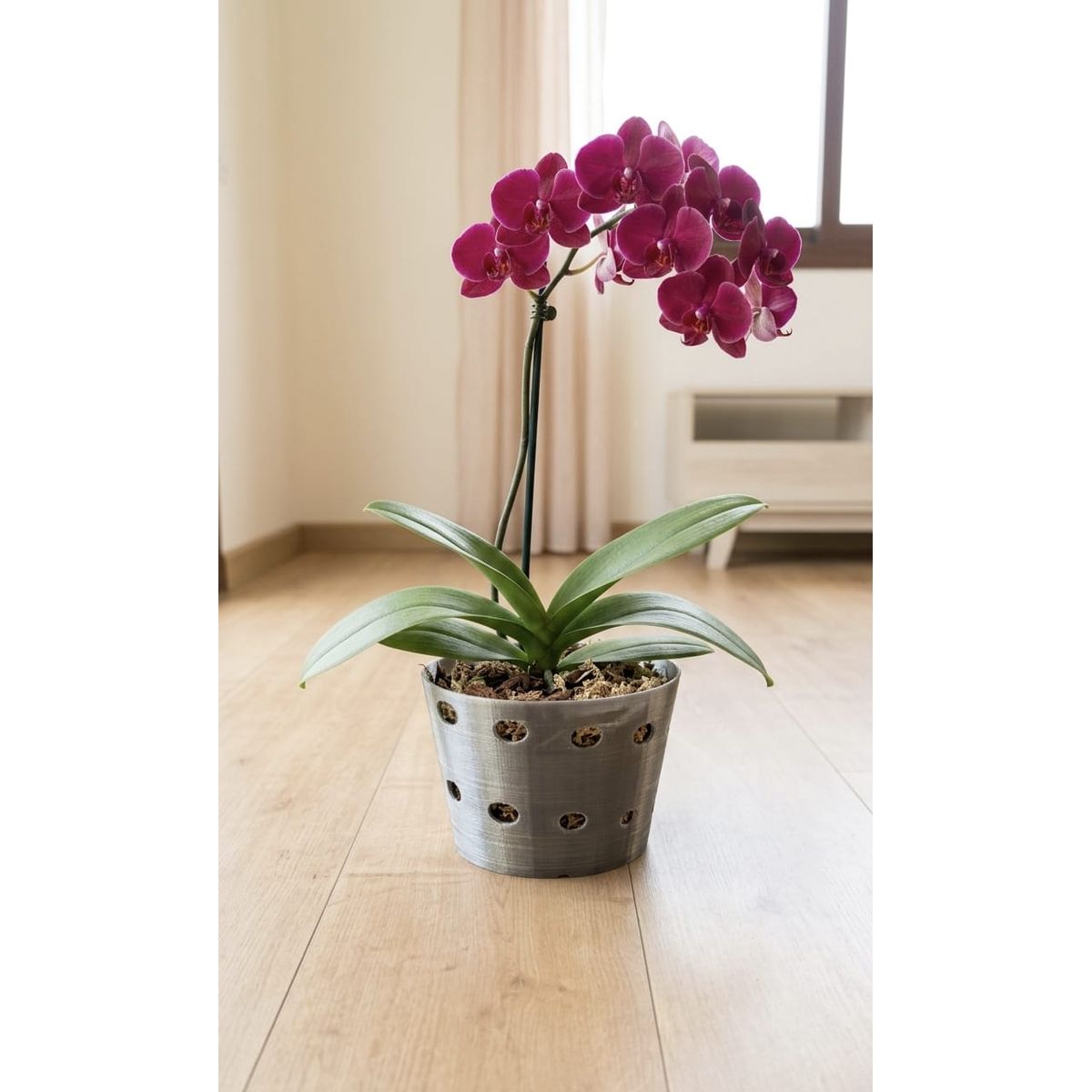 GENERICO - Macetero para orquídeas GRANDE Titanium  Linea  LUX