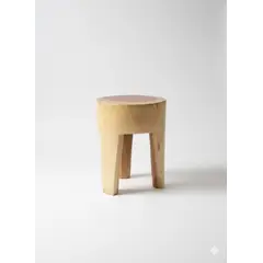 DISEÑO 3 - PISO TRONCO
