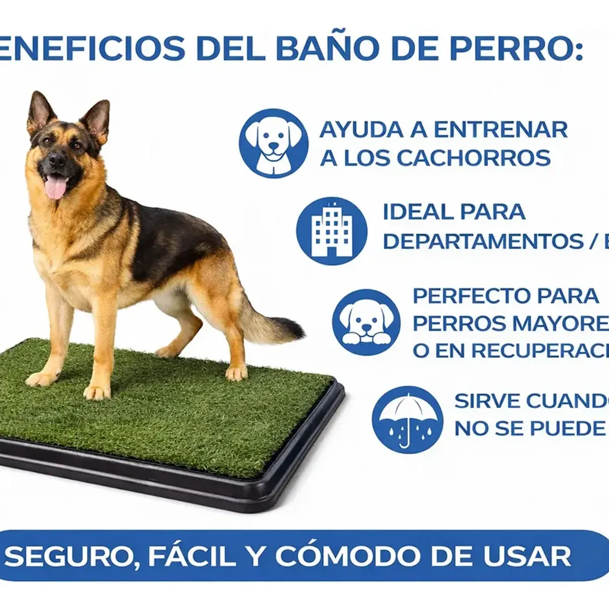 MOVI - Baño para Mascotas XXL Pet Potty
