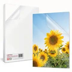 HOMELY - Papel Laminado En Frio Adhesivo Transparente A4 50 Hojas