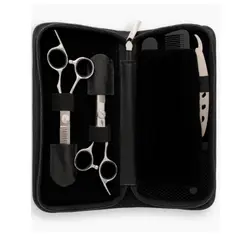 WAHL - Set de Tijeras de peluquería Profesional plateado