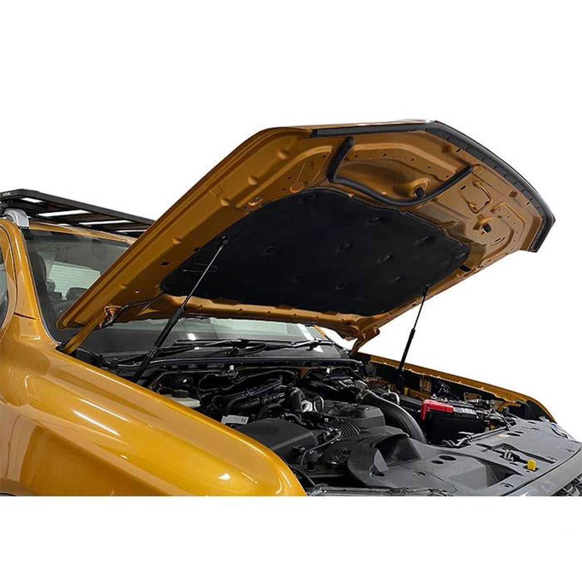 RIVAL - Amortiguadores de Capó para Ford Ranger Next Gen 2022+ y Volkswagen Amarok 2023+